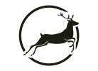 Logo Wild Scheibe